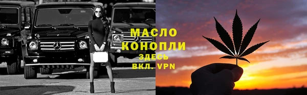 тгк Алексин