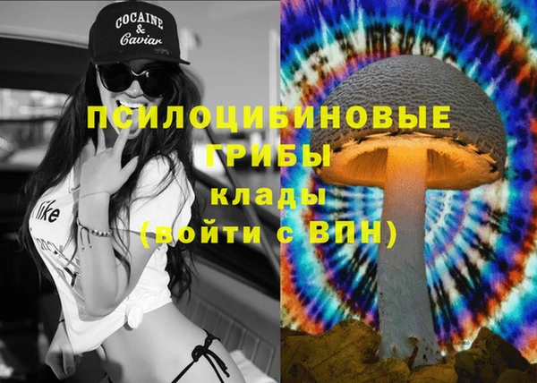 тгк Алексин