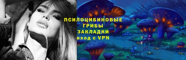 тгк Алексин