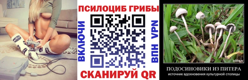 Псилоцибиновые грибы Cubensis  дарнет шоп  Ахтырский 
